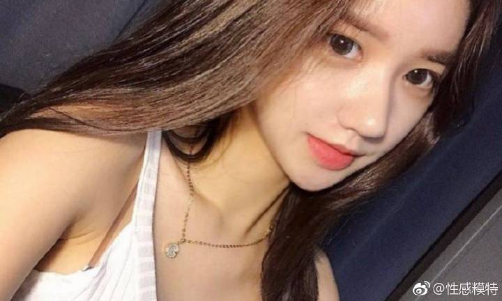 李树涛任长安大学校长